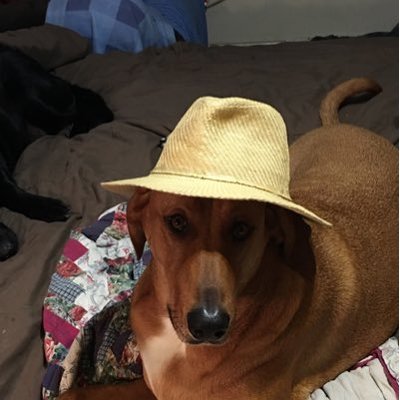 Profile Picture of Patty Cain (@izi2008) on Twitter