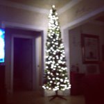 Profile Picture of Jack Seitzinger (@the_vine_lord) on Instagram