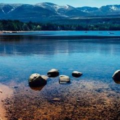 Profile Picture of markfilmer505 (@markfilmer505) on Tiktok