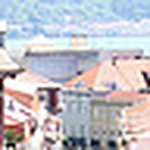 Lilyale - Flickr Profile Picture of Lilyale (@lilyale) on Flickr