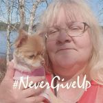 Profile Picture of Janet Barrett (@janetrbarrett) on Instagram