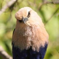 Profile Picture of John Carrell Jr (@carrelljr) on Pinterest