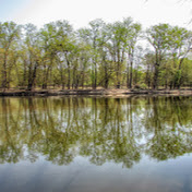 Profile Picture of Crystal Ozuna (@TheSmileyMexican) on Youtube