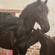 Profile Picture of Jaime Ledesma (@jaimeledesma1686) on Youtube