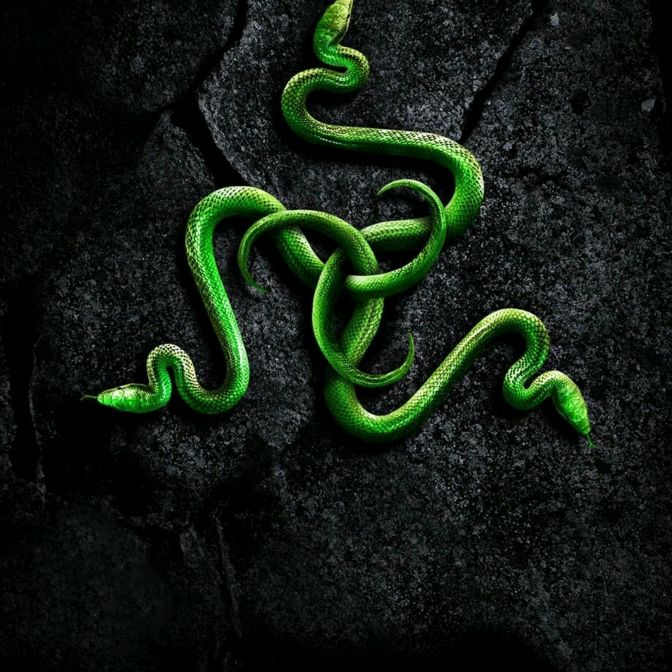 Profile Picture of Jasone Boger (@jasoneboger) on Tiktok