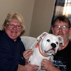 Profile Picture of Lori Halter (@lorihalter) on Tiktok