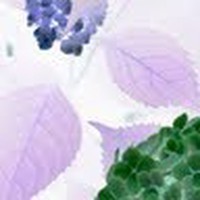 Profile Picture of Kim Dewolfe (@kim-dewolfe-3) on Quora