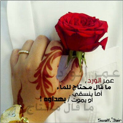 Profile Picture of العدواني (@basar_fahad) on Twitter