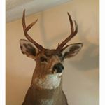 Profile Picture of cody renfro (@renfro6844) on Instagram