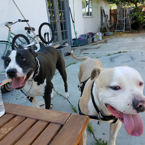 Profile Picture of Jonathan Cereno (@jacc_578) on Poshmark