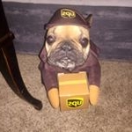 Profile Picture of Corey Fye (@cfye06) on Instagram