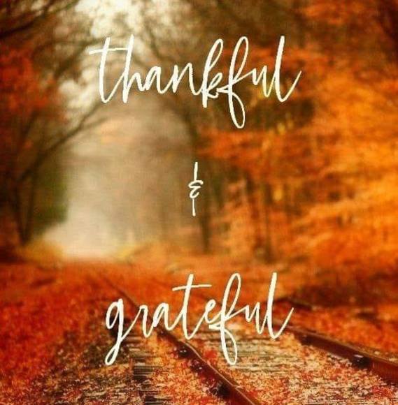 Profile Picture of Deb Denboer (@denboerdeb) on Poshmark