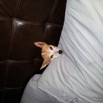 Profile Picture of Dan Byerly (@DanByerly) on Twitter