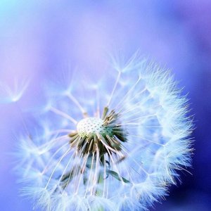 Profile Picture of Kate Crawford Thayer (@k8thayer) on Myspace