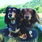 Profile Picture of 空&虹 (@yon905) on Instagram