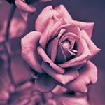 Profile Picture of Heather’s Modest Couture (@heathersmodestcouture) on Instagram