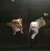 Profile Picture of Eugene Stevens (@eugene.stevens.9022) on Facebook