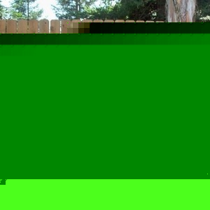 Profile Picture of Johnique Moore (@nikkim9878) on Myspace