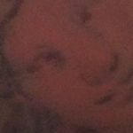 Profile Picture of Sean O'Kelley (@theokellinator87) on Instagram