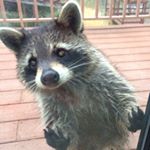 Profile Picture of Johncayo (@johncayo) on Instagram