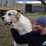 Profile Picture of Peter Kick (@kick.peter) on Instagram