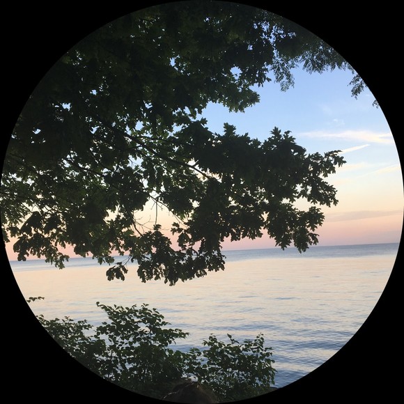 Profile Picture of Tara Deboer (@taradeboer13) on Poshmark