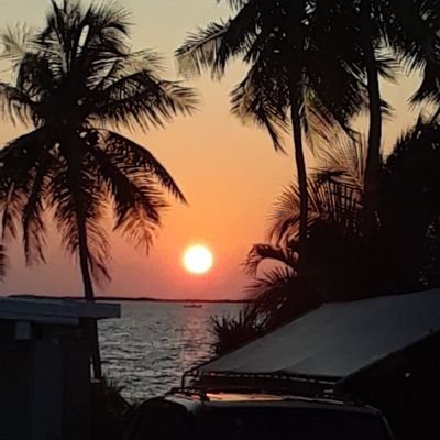 Profile Picture of Robozulu (@RobinLeroux) on Twitter