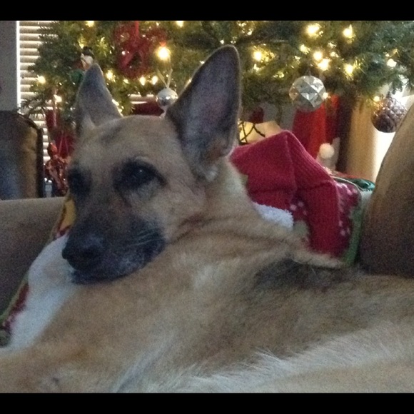 Profile Picture of John Mcginlay (@jnnyboy) on Poshmark