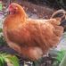 Profile Picture of Peter Adair (@peter.adair.73) on Facebook