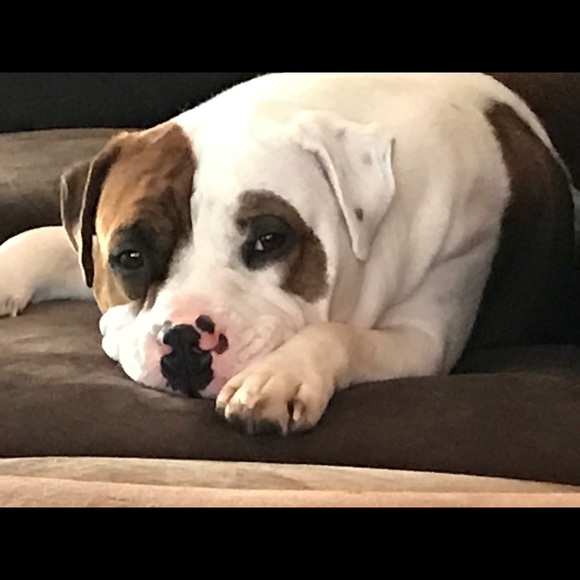 Profile Picture of Steven Carter (@1234carter) on Poshmark