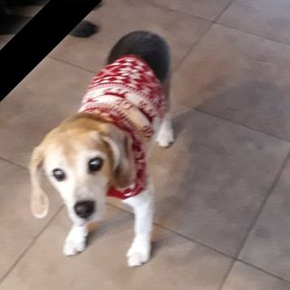 Profile Picture of Harriet Peeters (@harriet.peeters.5) on Facebook