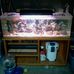 Profile Picture of John Bartel (@john.bartel.790) on Facebook