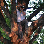 Profile Picture of Brad Maclauchlan (@bradmac80) on Flickr