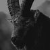 Profile Picture of Derek Bradshaw (@derek.bradshaw.12177) on Facebook