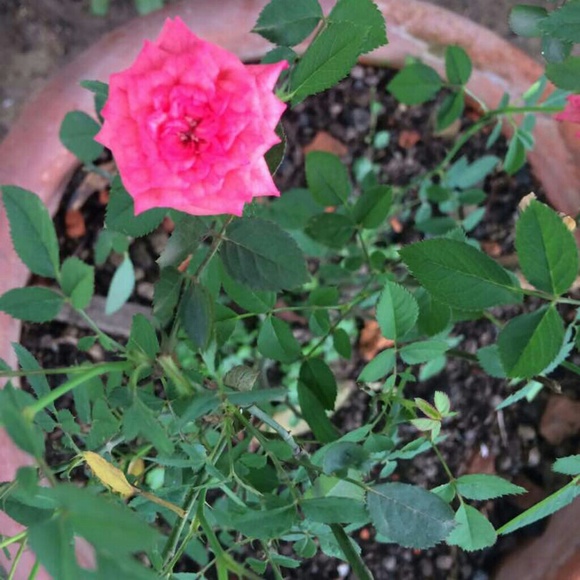 Profile Picture of Oak Bluff (@oakbluc) on Poshmark