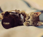 Profile Picture of Angel Geovany Flores Kin (@angel kin) on Flickr