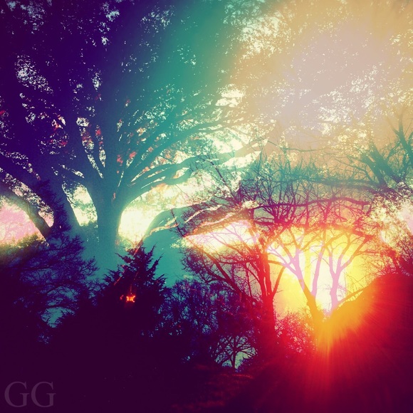 Profile Picture of Natalie Fontenot (@_nataliescloset) on Poshmark