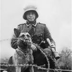 Profile Picture of amanda (@chineseefriedricex2) on Instagram