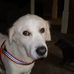 Profile Picture of Richard Weisel (@richard.weisel.9) on Facebook