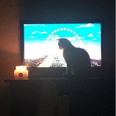 Profile Picture of David Barwick (@thedavidbarwick) on Twitter