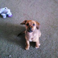 Profile Picture of Travis Landers (@travis-landers-9) on Quora