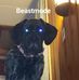 Profile Picture of Mark Lesko (@mark.lesko.35) on Facebook