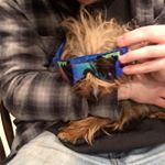 Profile Picture of Sam (@sam.kronshage) on Instagram