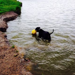 Profile Picture of Kim Hollands (@kim.hollands.90) on Facebook