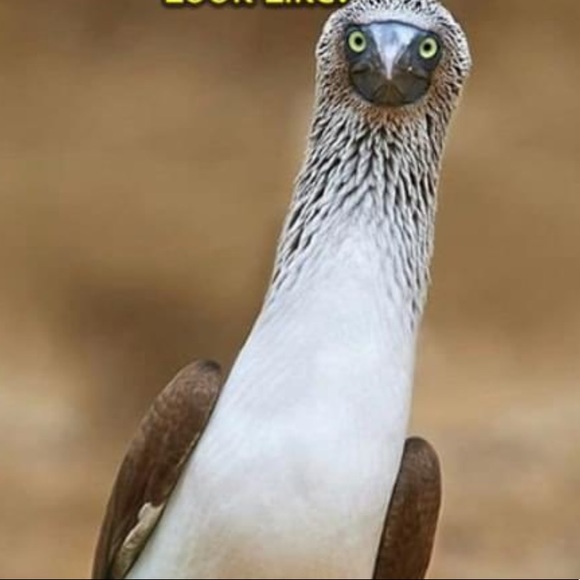 Profile Picture of Jaime Smith (@jaimesmith112) on Poshmark