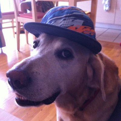 Profile Picture of Patrick Moffat (@ClutchurPearl) on Twitter