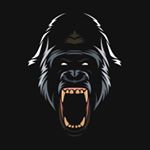 Profile Picture of Gene (@selfless.silverback) on Instagram