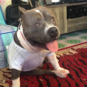 Jonathan Mate - Youtube Profile Picture of Jonathan Mate (@jonathanmate0204) on Youtube