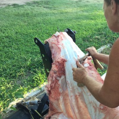 Profile Picture of Audrey Williams (@AudreyW1959) on Twitter