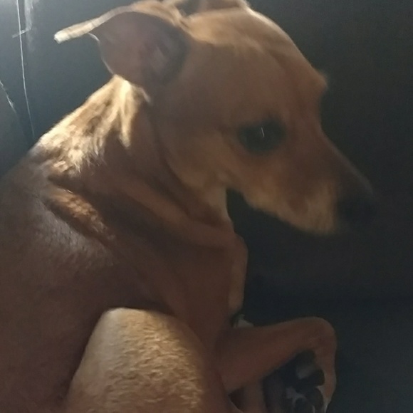 Profile Picture of Bree Miles (@breemiles1975) on Poshmark